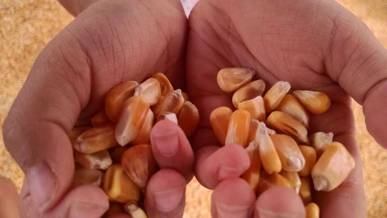 11_2015-10-17 13.14.34_lr