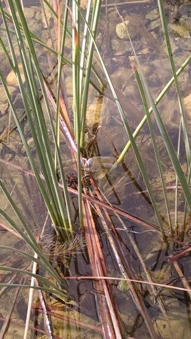 12_2015-10-04 15.51.32_lr