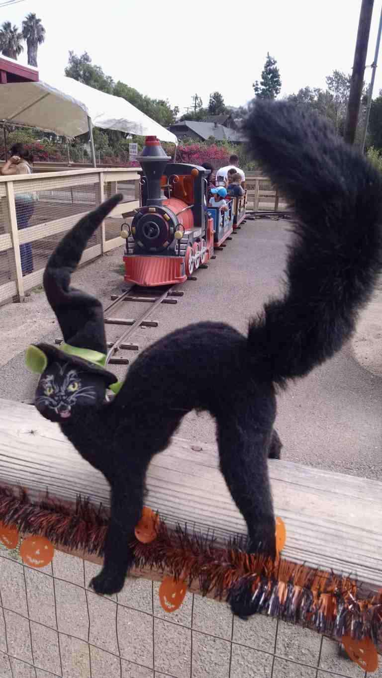 12_2015-10-17 13.58.05_lr