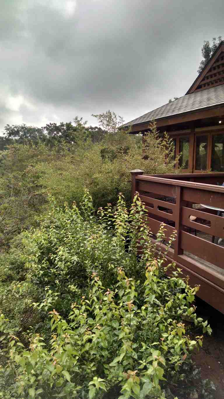 17_2015-10-18 13.00.39_lr