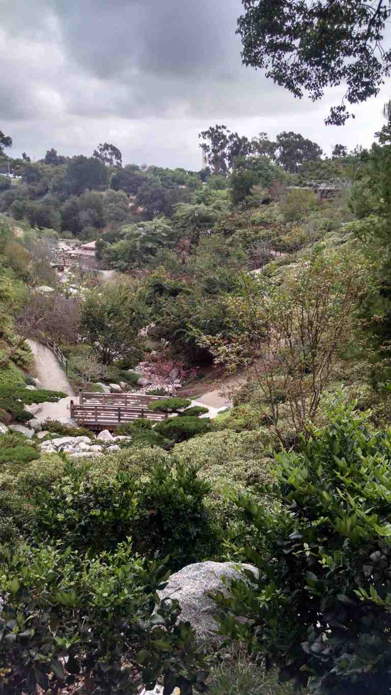 18_2015-10-18 13.03.49_lr