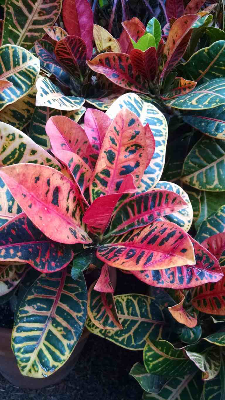 26_2015-10-18 14.01.24_lr