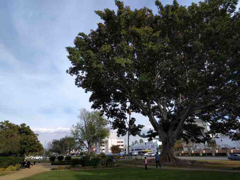 06_2015-12-13 14.07.11_lr