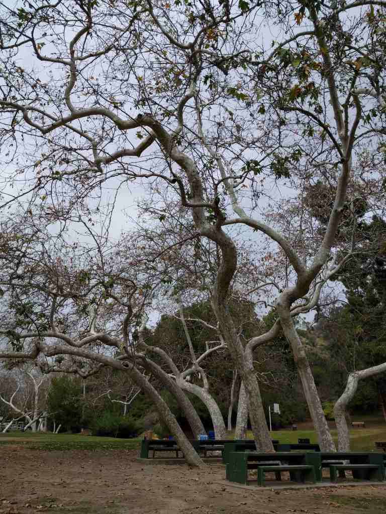 01_2016-01-18 13.01.12_lr.jpg