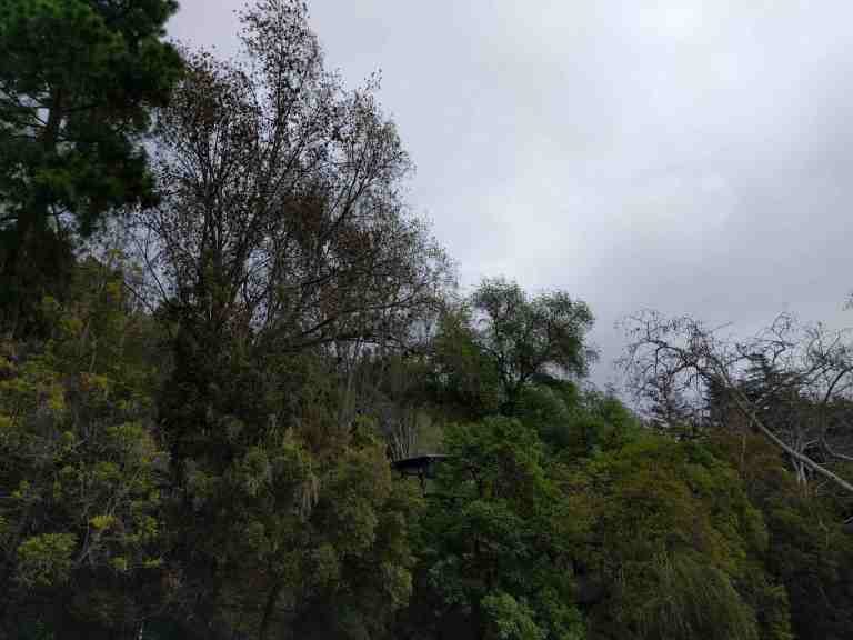 03_2016-01-18 13.07.29_lr.jpg