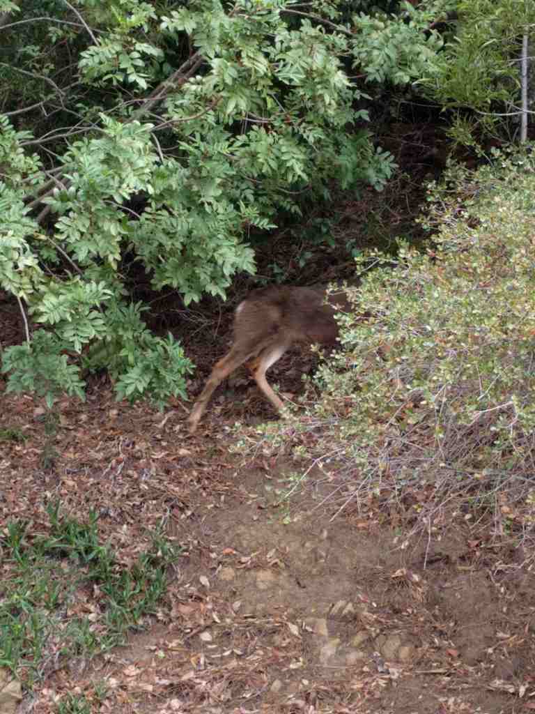 04_2016-01-18 14.02.14-2_lr