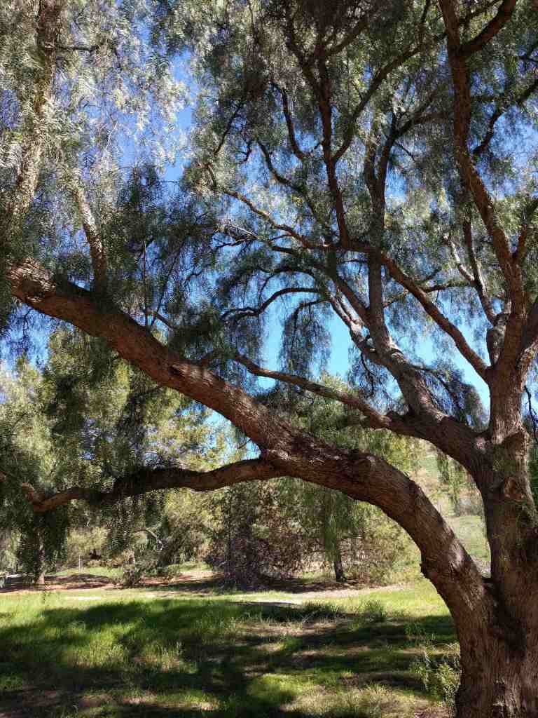 01_2016-02-15 11.28.25_lr.jpg