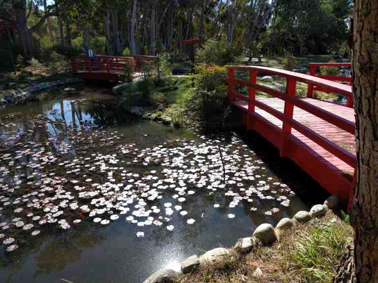 02_2016-02-15 11.32.33_lr