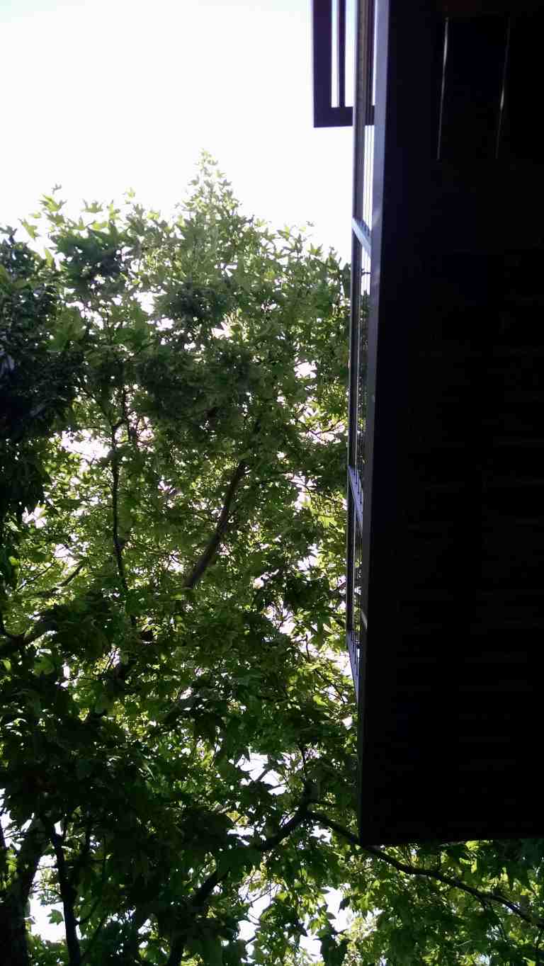 01_2015-04-24 13.33.54_lr