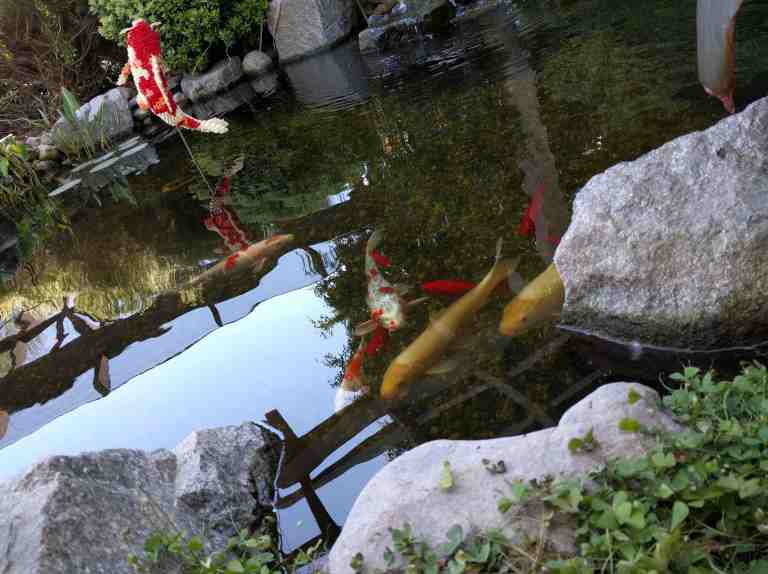 02_2016-03-24 12.12.27_lr