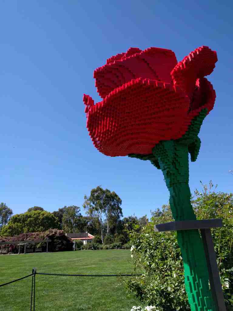 06_2016-03-24 12.32.56_lr