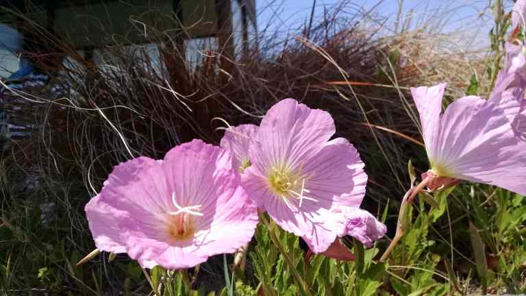 07_2015-04-24 13.30.50_lr