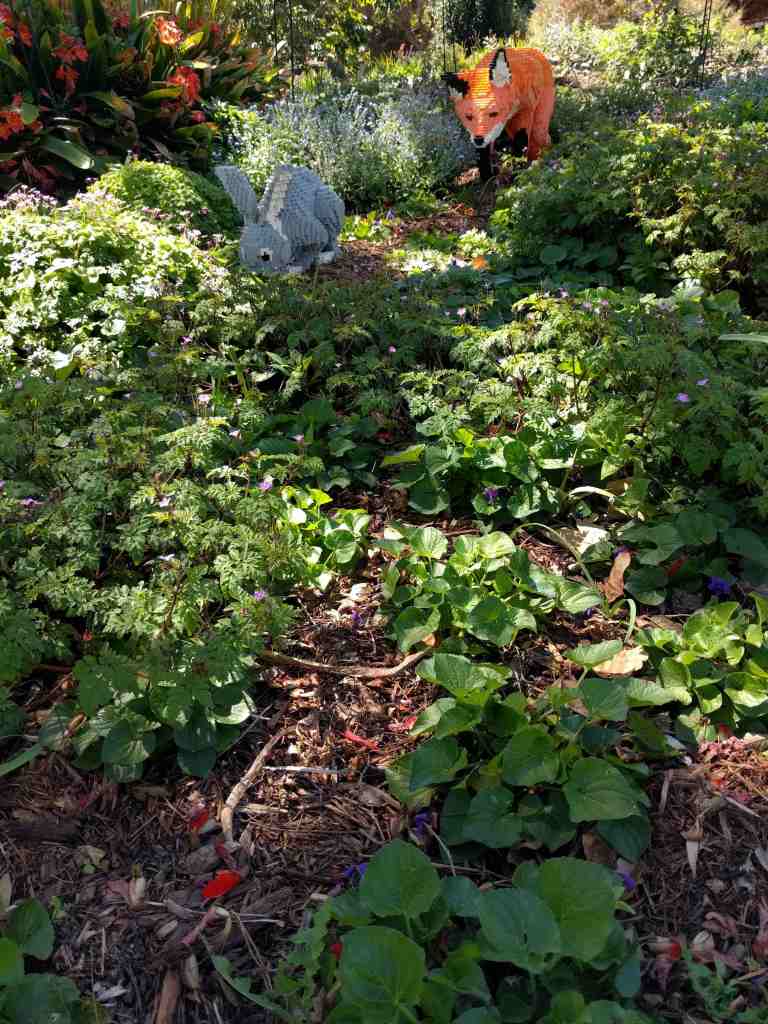 08_2016-03-24 12.36.59_lr