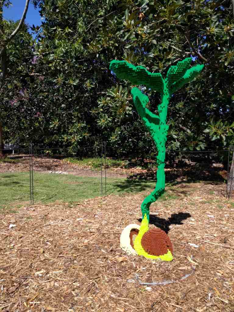 10_2016-03-24 14.14.01_lr