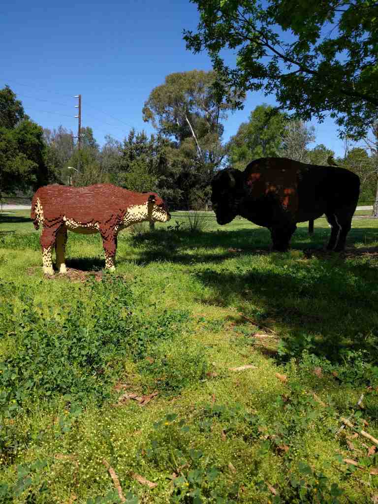 11_2016-03-24 13.20.41_lr