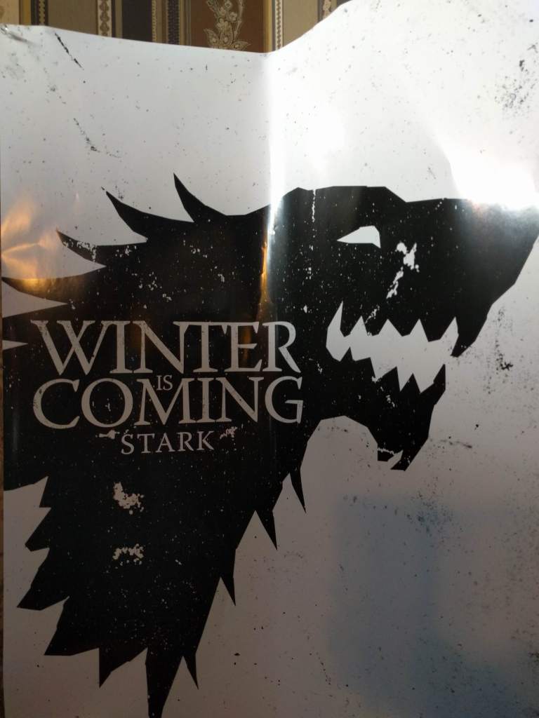 2016-03-28 11.50.14_lr