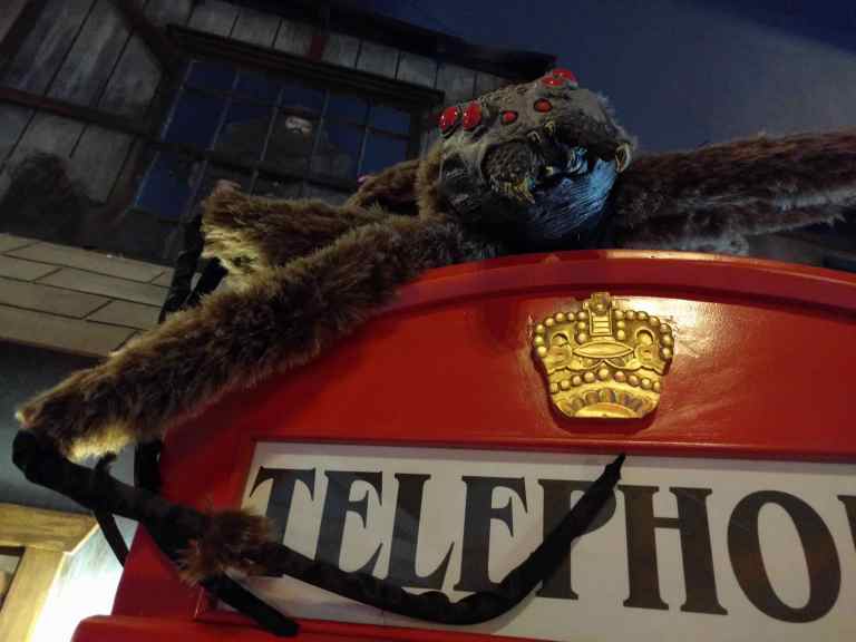 2016-03-28 12.25.31_lr