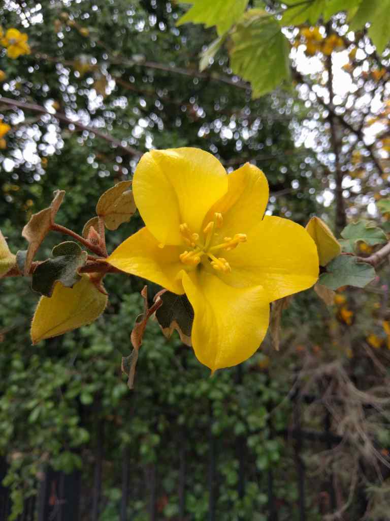 2016-03-28 13.07.02_lr