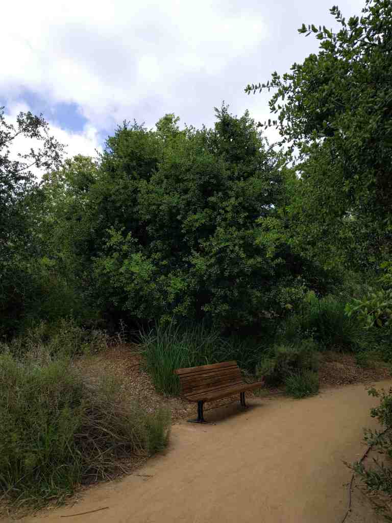 2016-03-28 13.09.20_lr