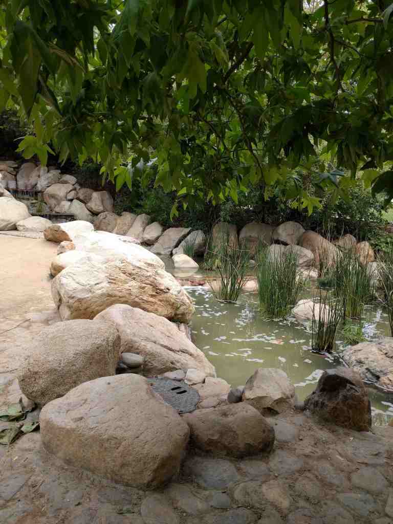 2016-03-28 13.11.09_lr