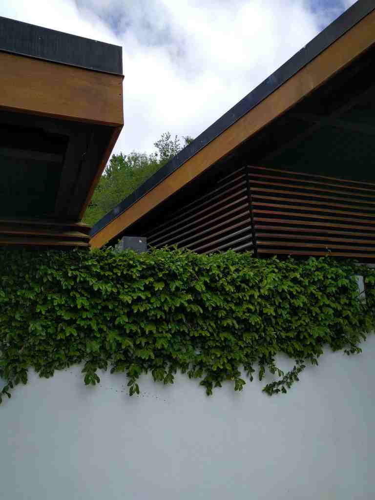 2016-03-28 13.13.02_lr