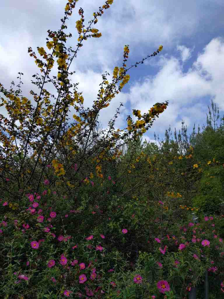 2016-03-28 14.18.08_lr