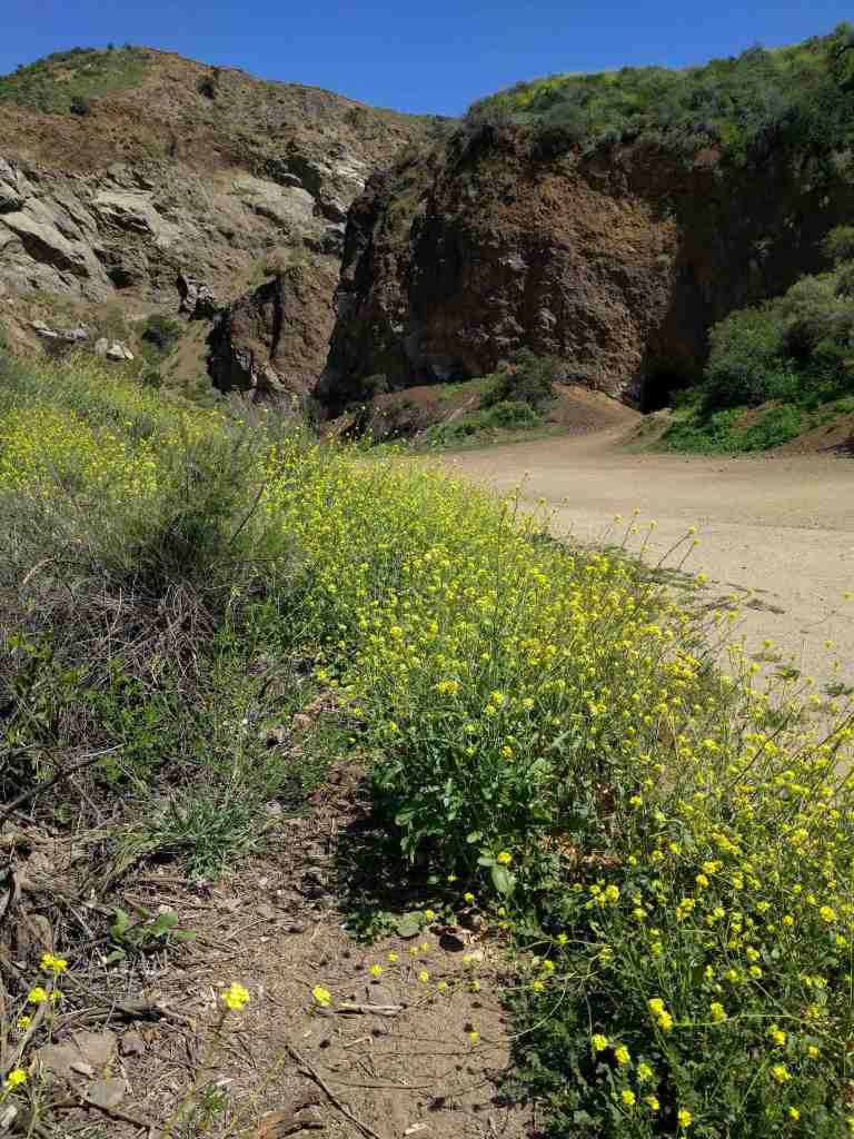 2016-03-29 14.17.17_lr