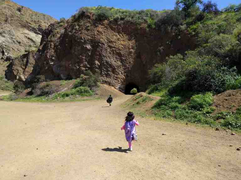 2016-03-29 14.17.47_lr