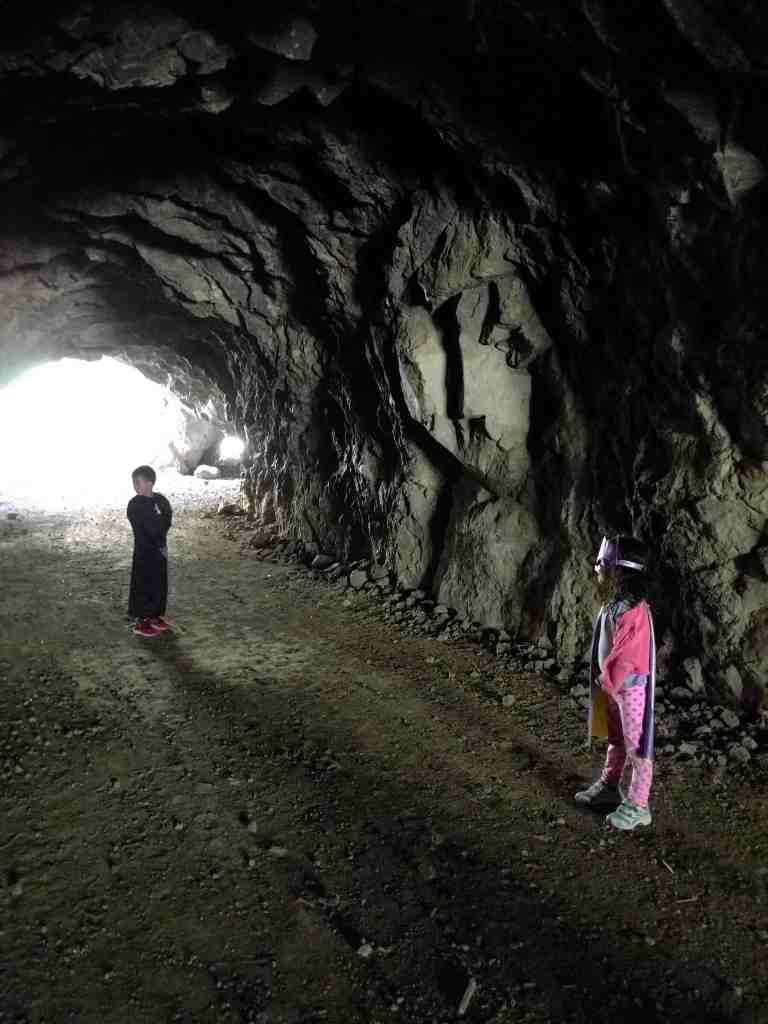 2016-03-29 14.18.49_lr