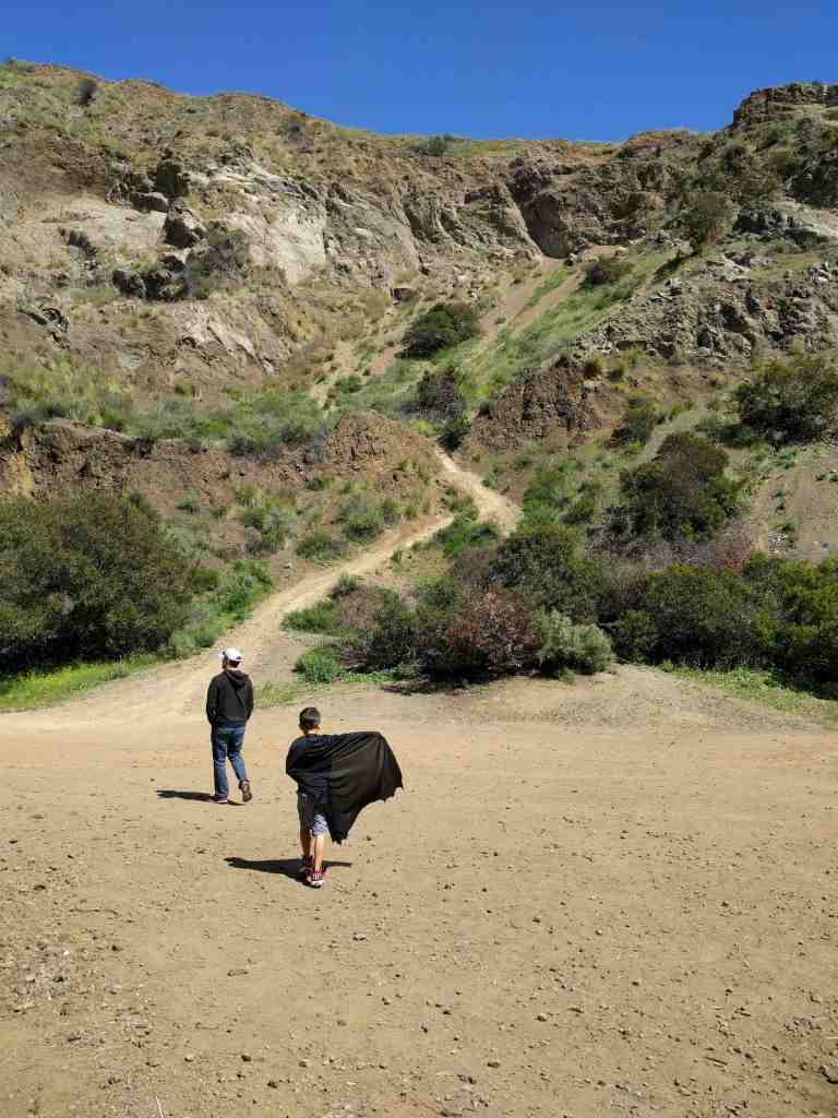 2016-03-29 14.23.53_lr