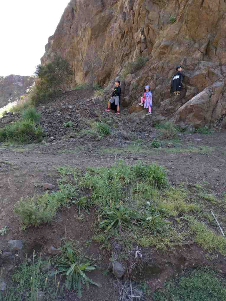 2016-03-29 14.28.30_lr