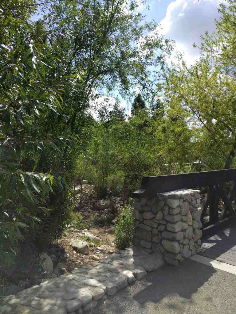 2016-03-30 11.22.01_lr