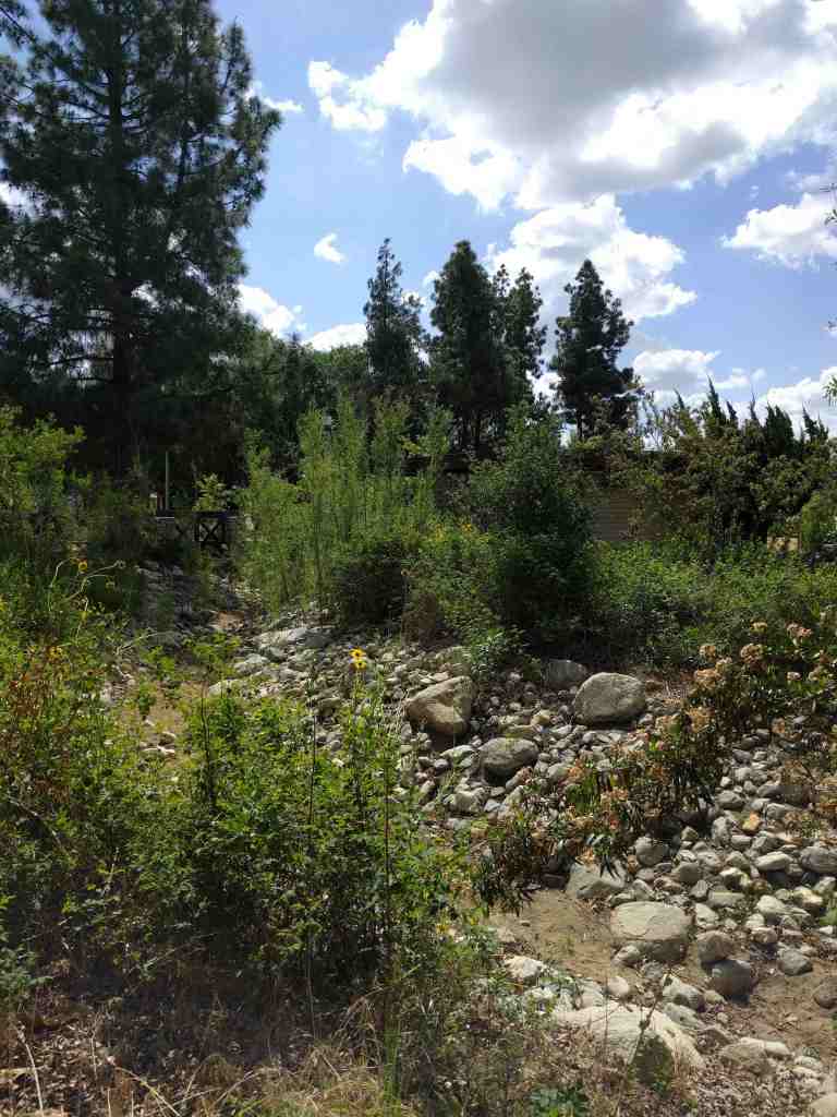 2016-03-30 11.22.31_lr