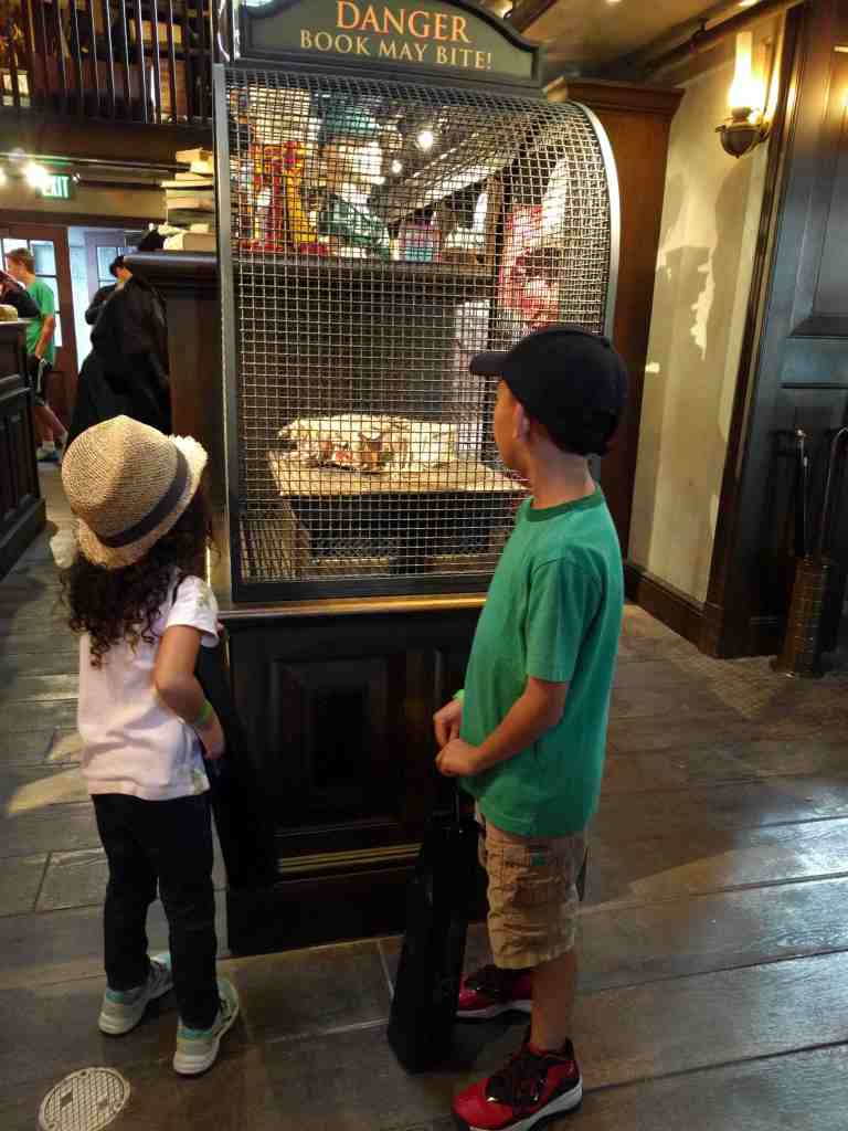 28_2016-03-19 17.17.20-1_lr