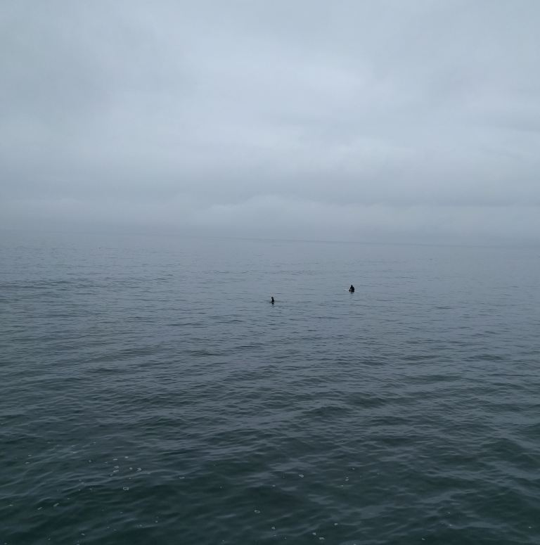 02_2016-04-08 11.22.38_lr