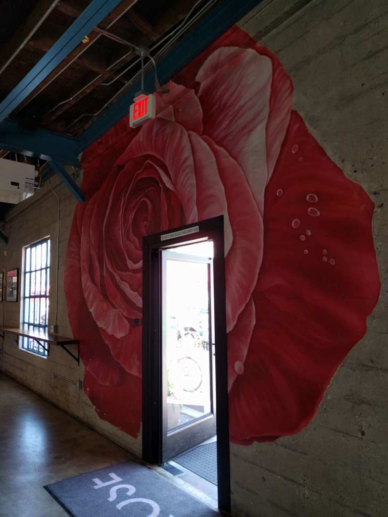 03_2016-04-19 12.36.29_lr