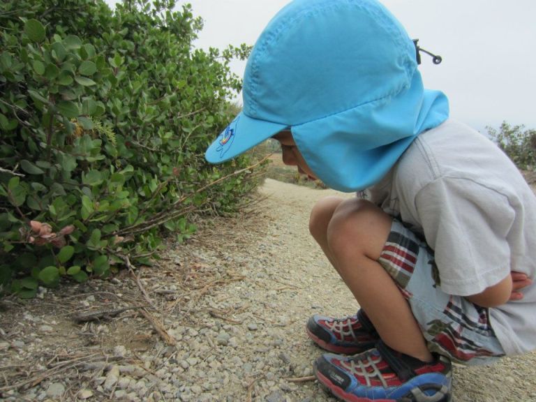 03_550702_4141741948806_644393424_n