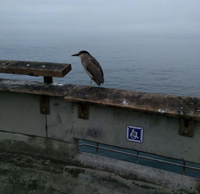 04_2016-04-08 11.29.21_lr