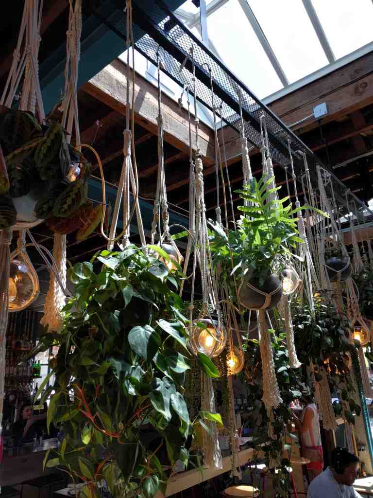 05_2016-04-19 12.40.57_lr