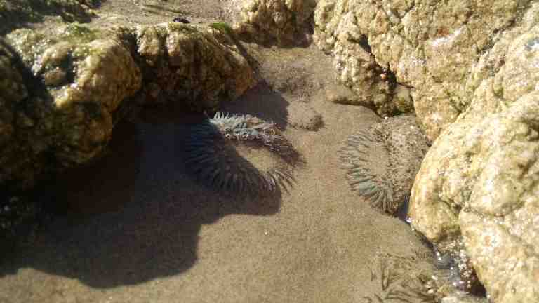 07_2014-12-29 12.11.25_lr