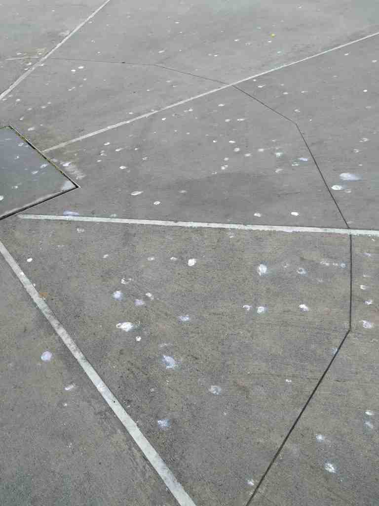 07_2016-04-08 11.33.08_lr