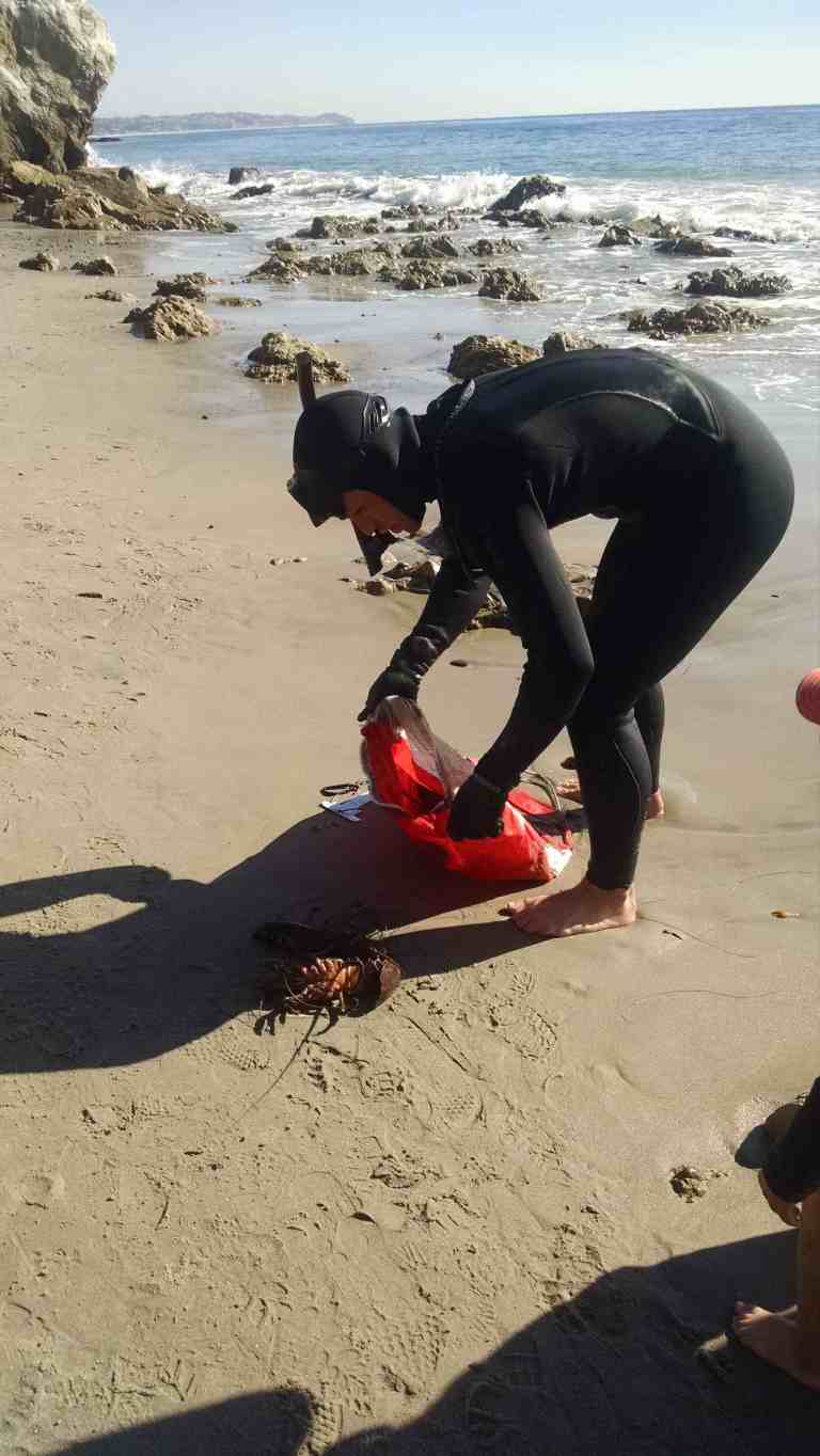 09_2014-12-29 12.47.15_lr