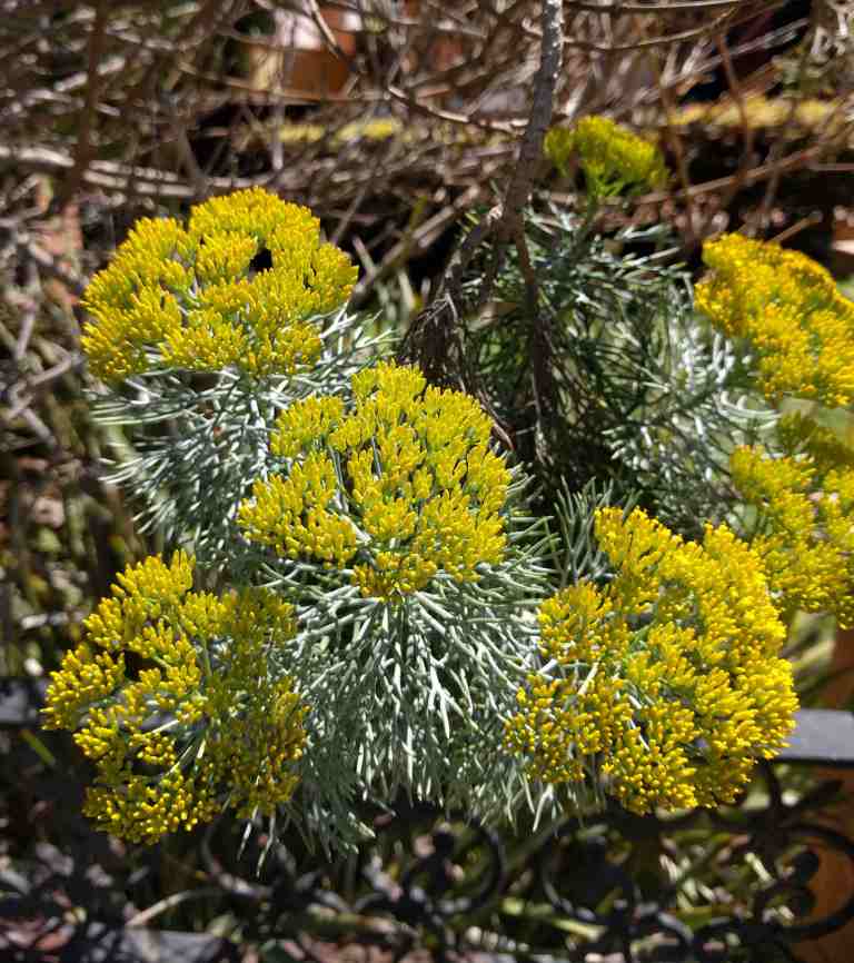 2016-04-18 12.58.29_lr