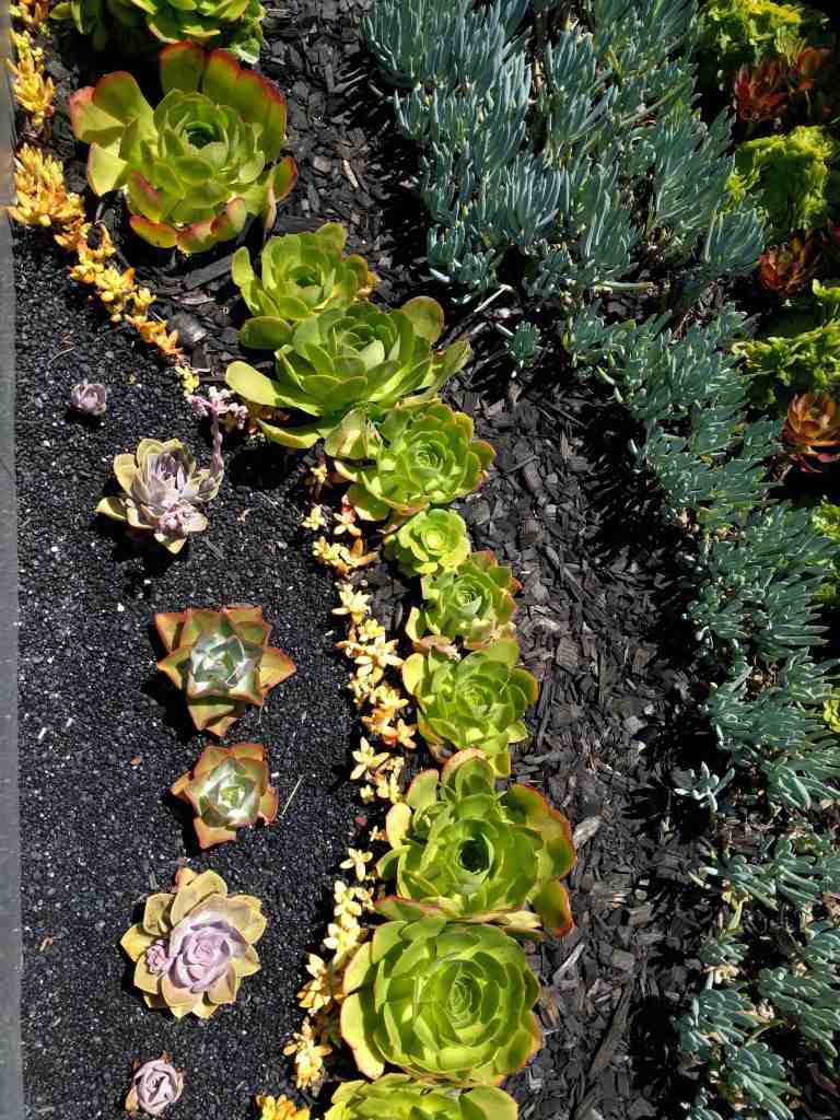 2016-04-18 13.07.00_lr