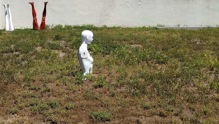 2016-04-18 13.13.17_lr