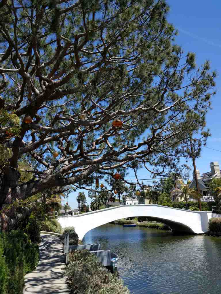 2016-04-18 13.18.18_lr