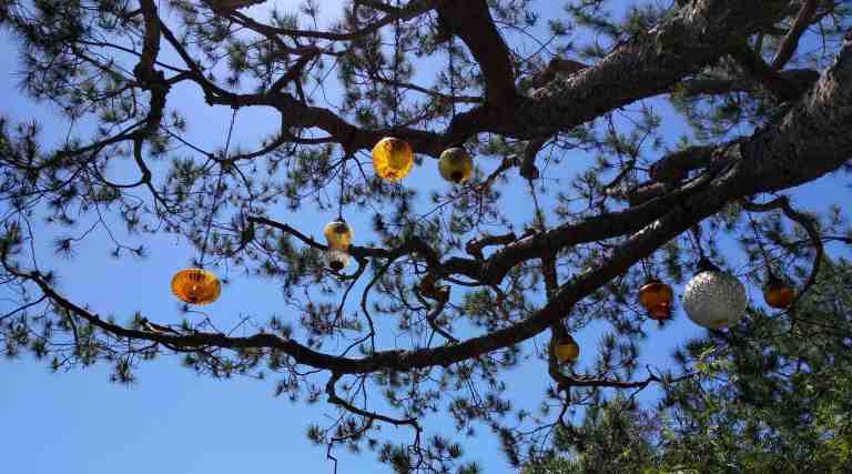 2016-04-18 13.19.01_lr