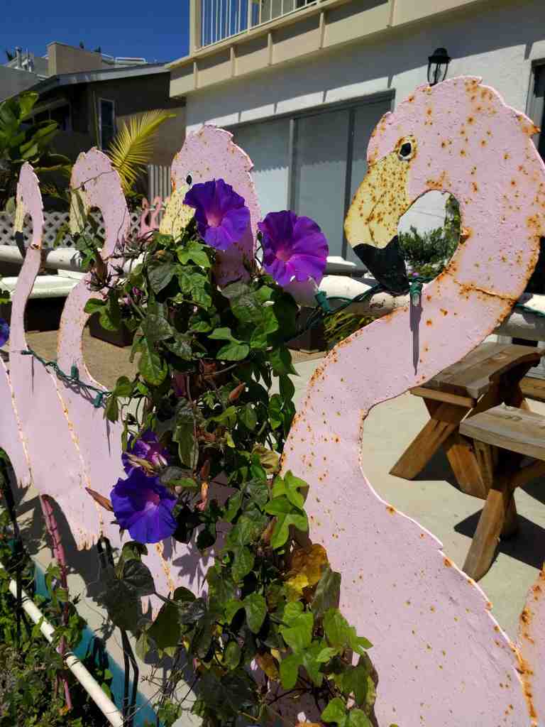 2016-04-18 13.45.23_lr