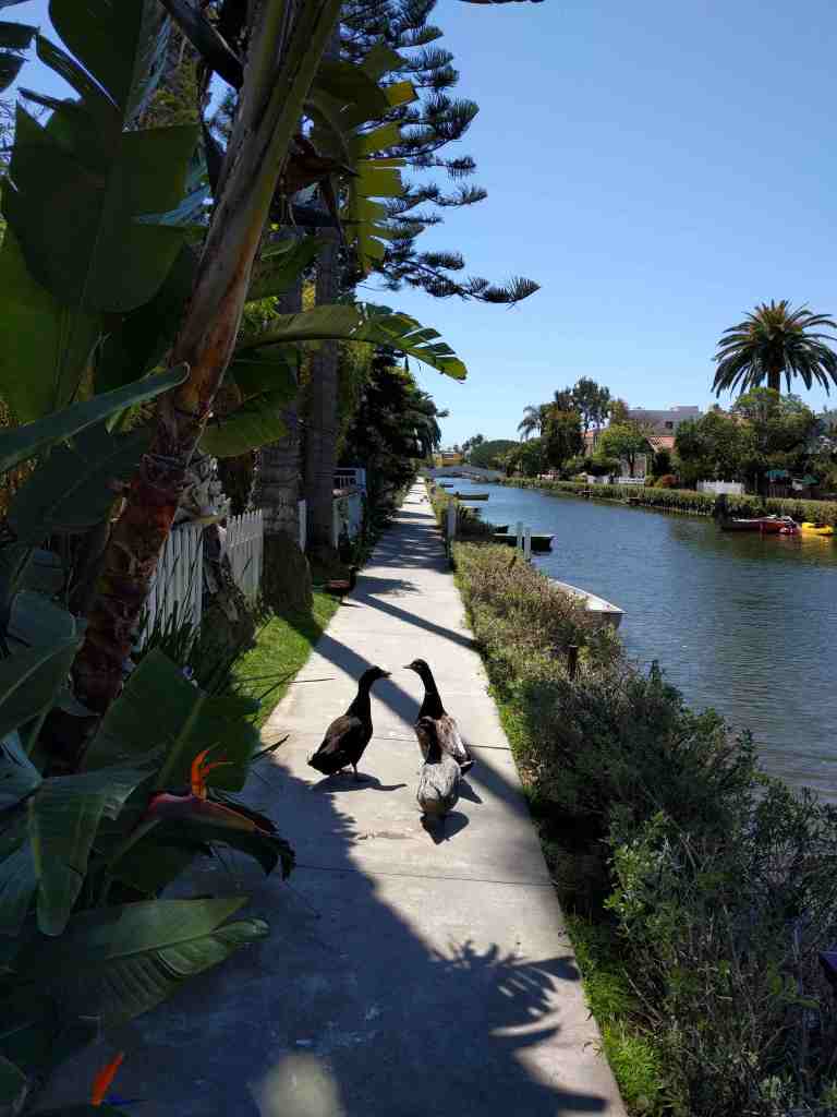 2016-04-18 13.47.11_lr