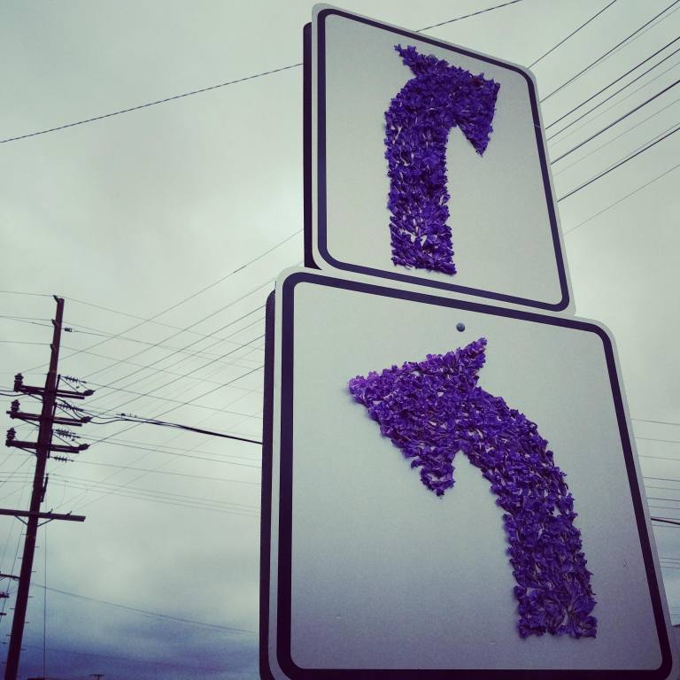 1 2016-05-29_123800_lr